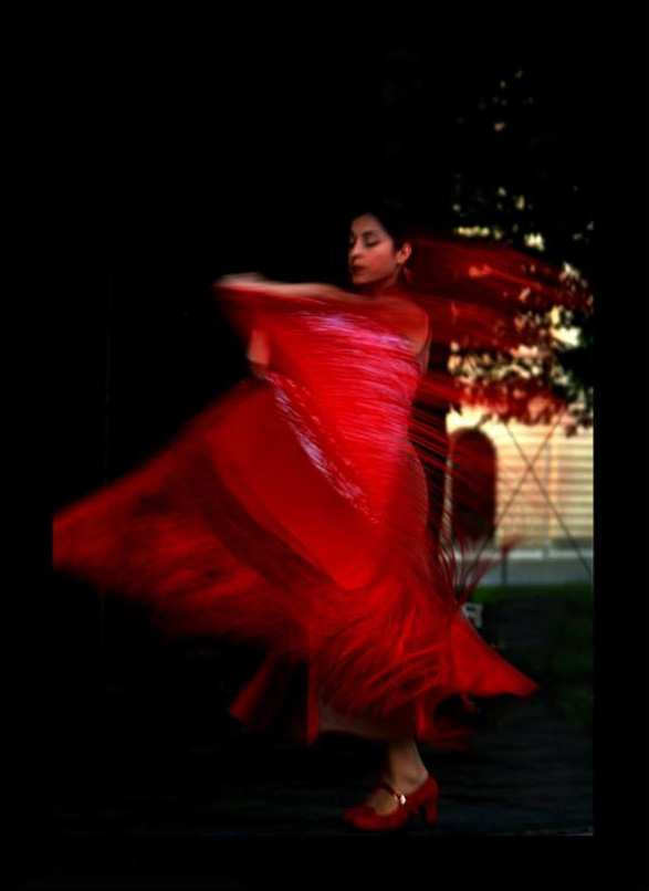 Flamenco Of Fire painting - Flamenco Dancer Flamenco Of Fire art painting